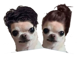 Logo boda